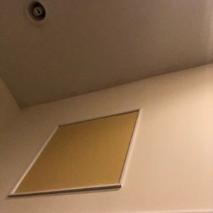 Meet your Posher, Rose